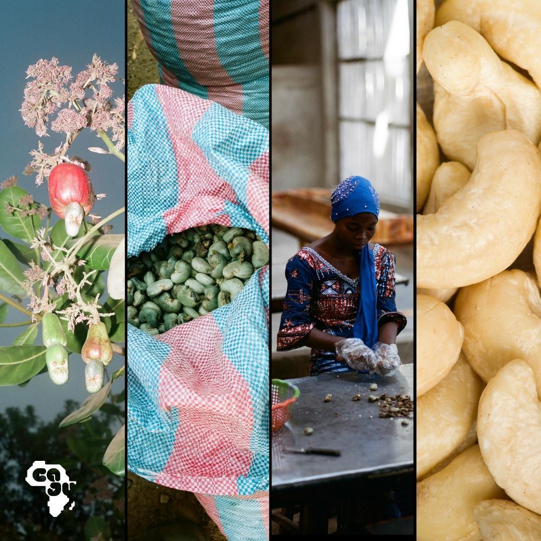 Caju Cashews | Lemon Pepper - snacknest.de