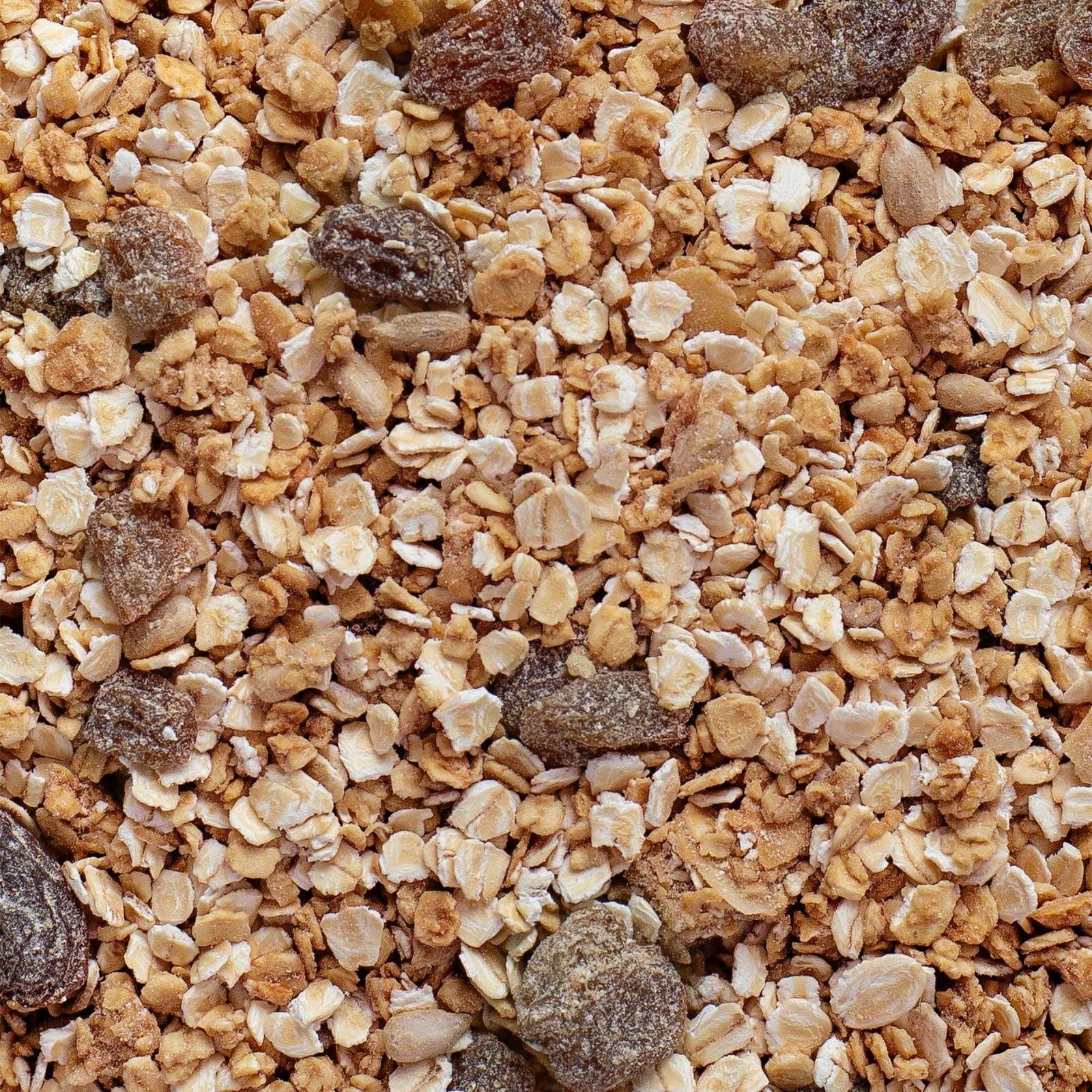 Müsli mit Rosinen - lokal aus NRW | Hafergut - snacknest.de