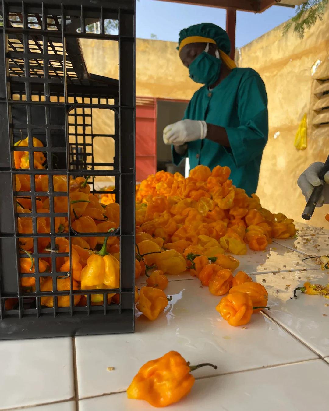 SOCHILI | JALAPEÑO & GARLIC | 1 Flasche - snacknest.de