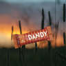 Sauer-Cola | Dandy Candy Dattel Riegel | Foodin